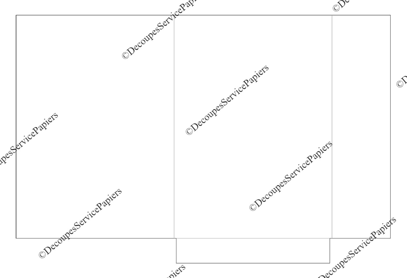 CHEMISE F 216 X 305 O 512 X 339.jpeg